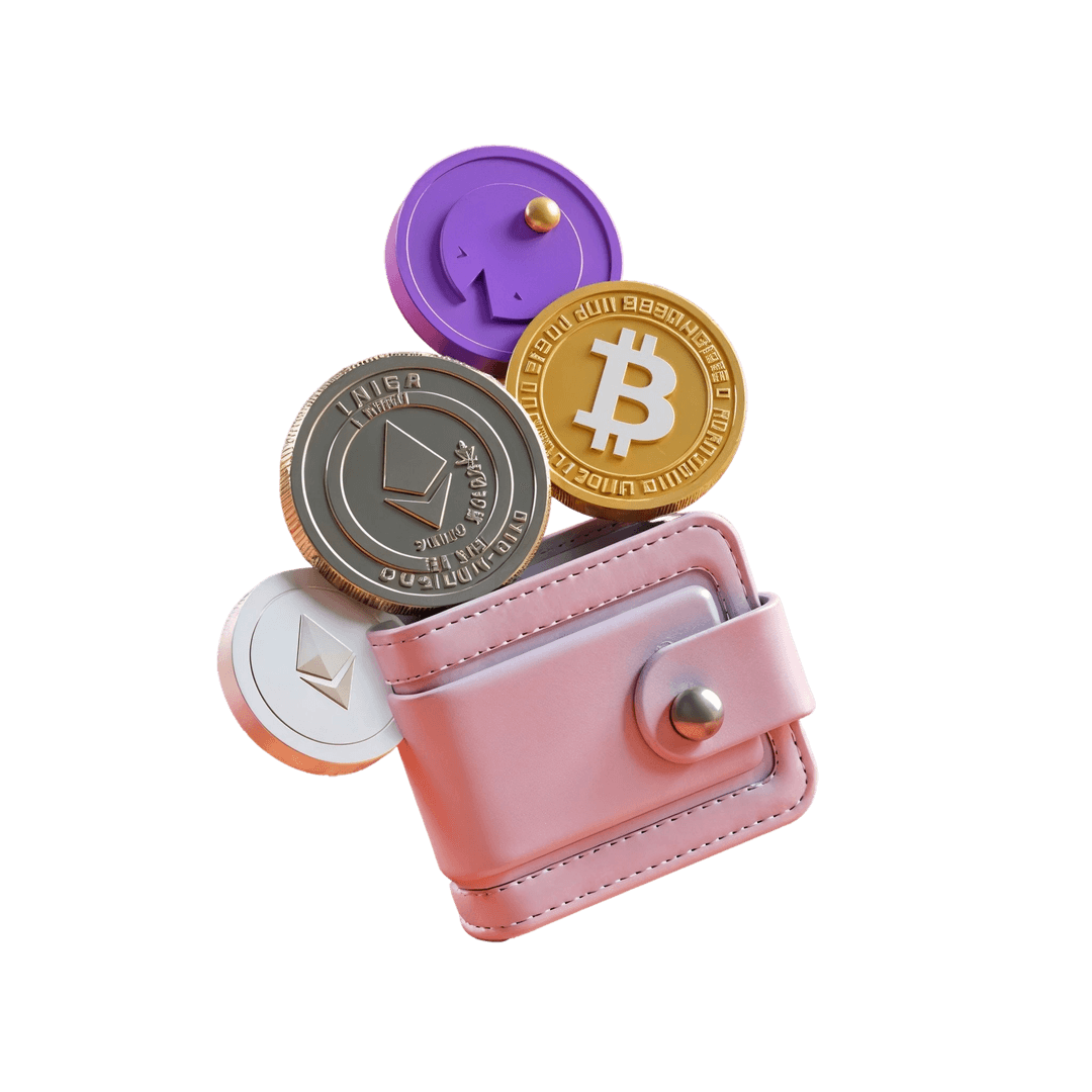Crypto Wallet Illustration
